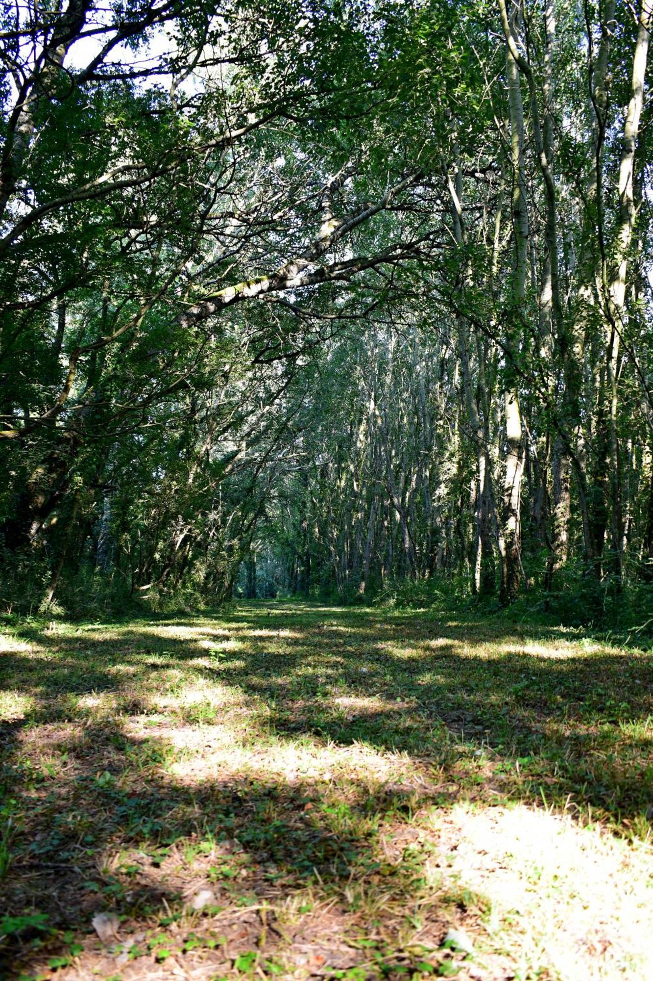 L'Oree Du Bois Gaubau Saint-Georges-sur-Layon 外观 照片
